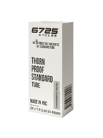 Tube 29 X 1.9-2.40 SV 48mm TR