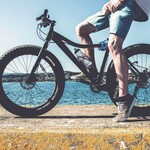 Fat Bikes