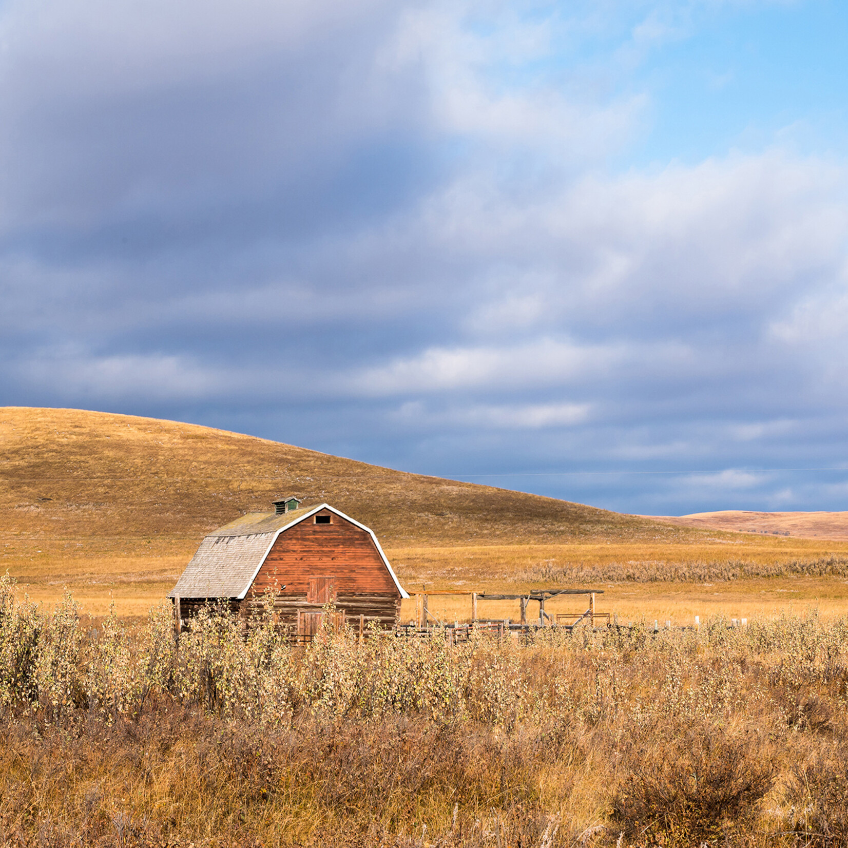 Suzan McEvoy Red Barns & Chinook Arches