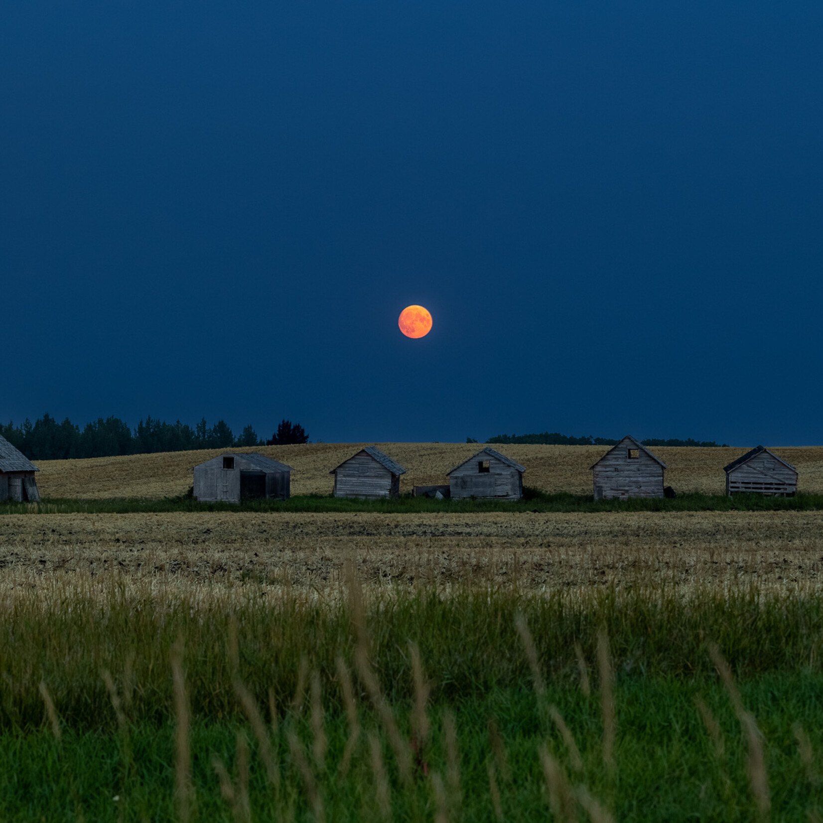 Carmen Therriault Full Moon on the Prairie