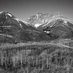 Lorelei Hoffarth After the Fire Waterton