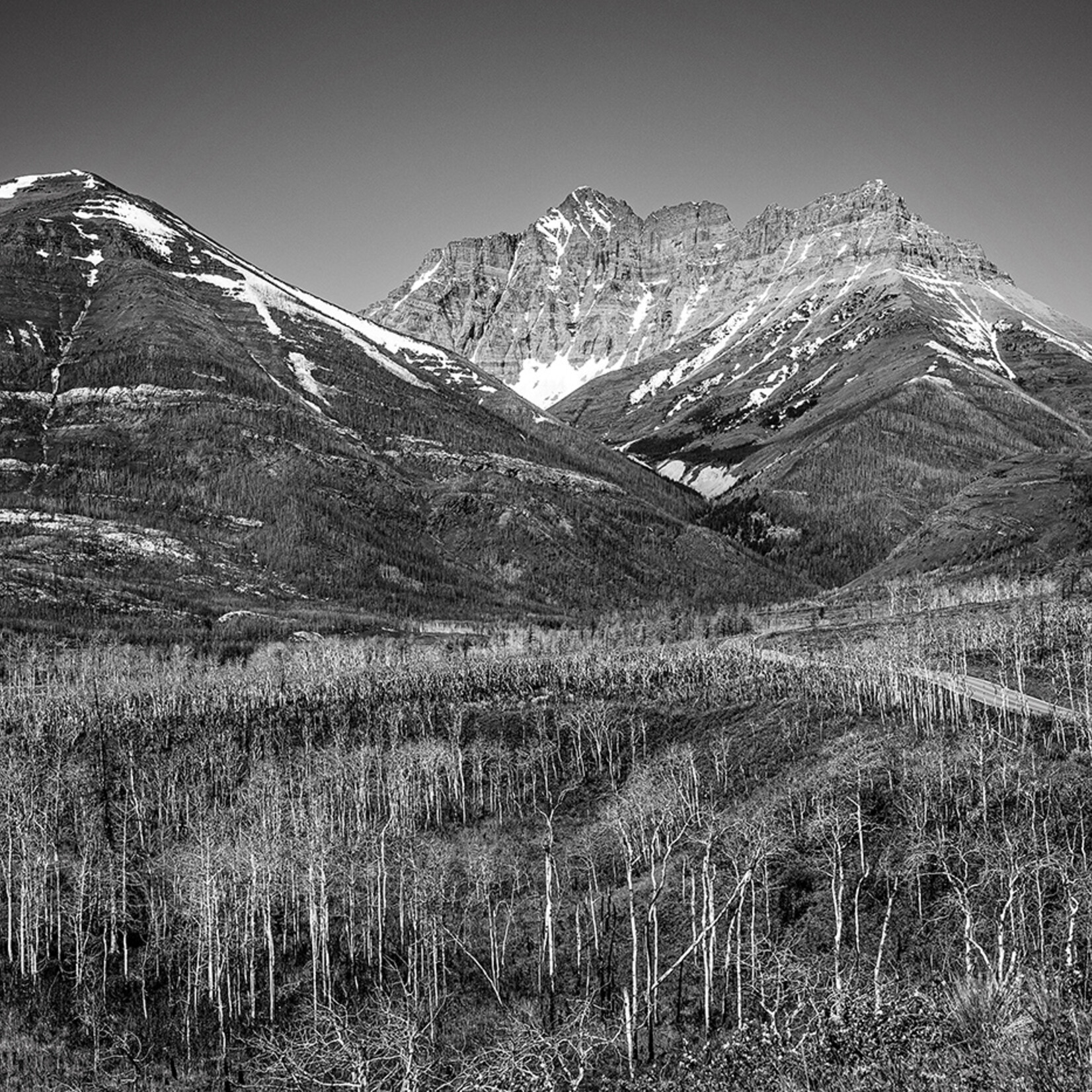 Lorelei Hoffarth After the Fire Waterton