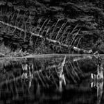 Keith Walker Kananaskis Reflections I