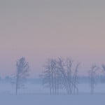 Bill Kossmann Misty Winter Twilight