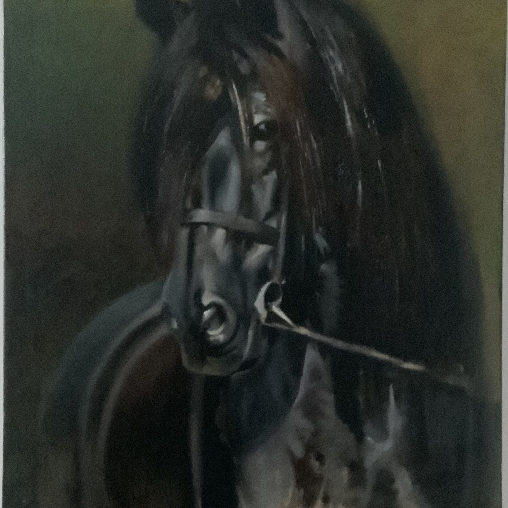 Istvan/Stephen Sztrain Black Horse