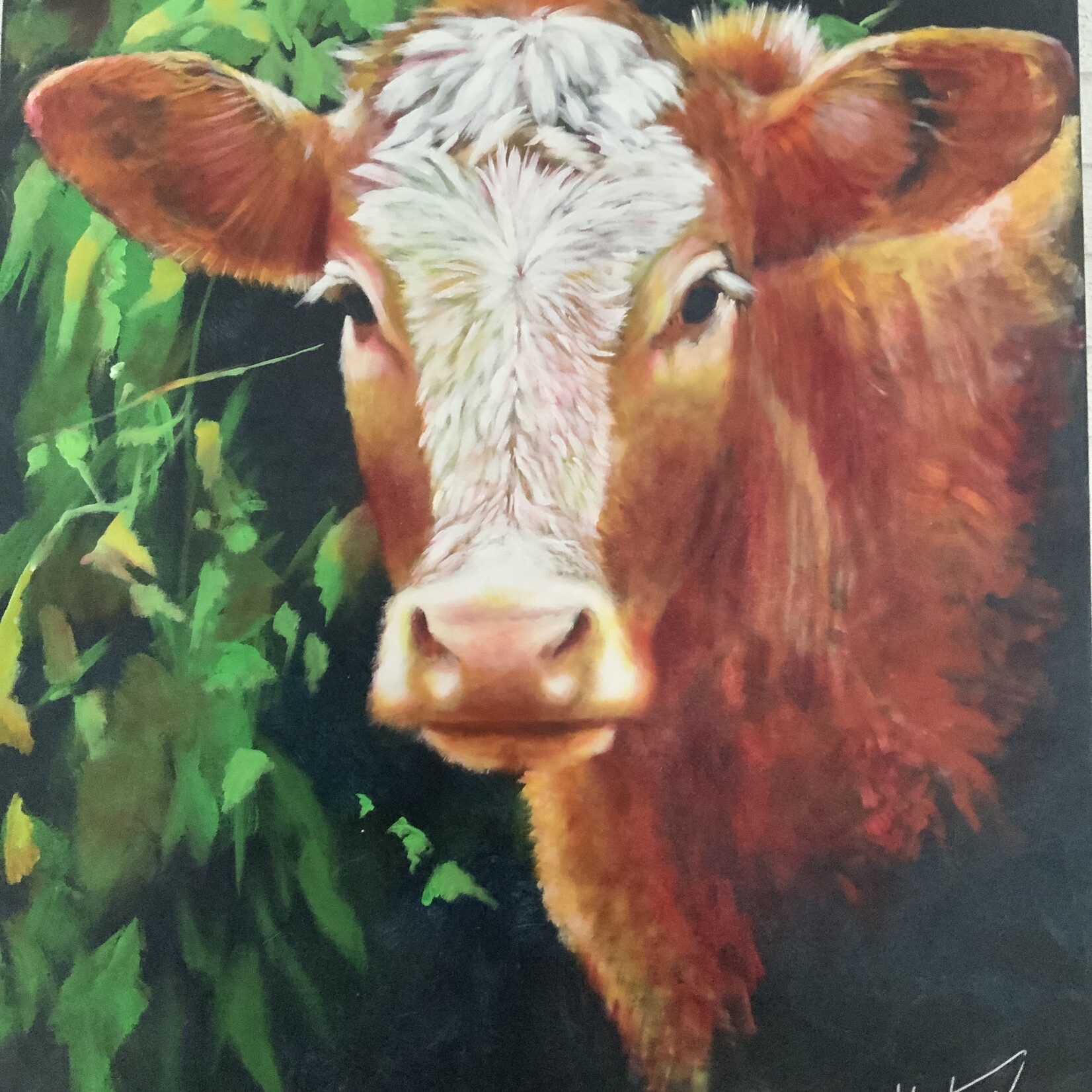 Istvan/Stephen Sztrain Cow