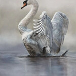 Luna Amiri After the Storm