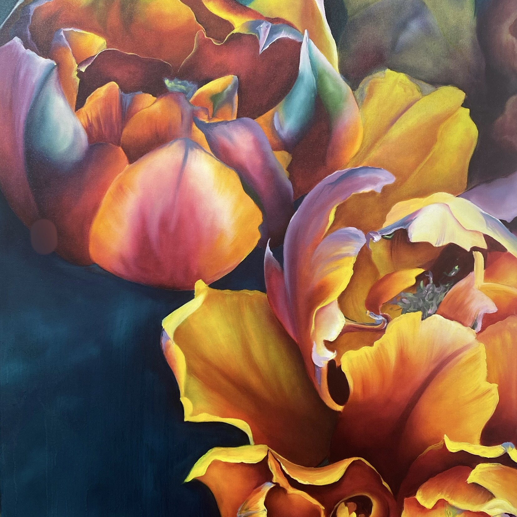 Rebecca Schmitke Resplendence