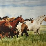 Twyla Wehnes Pole Position