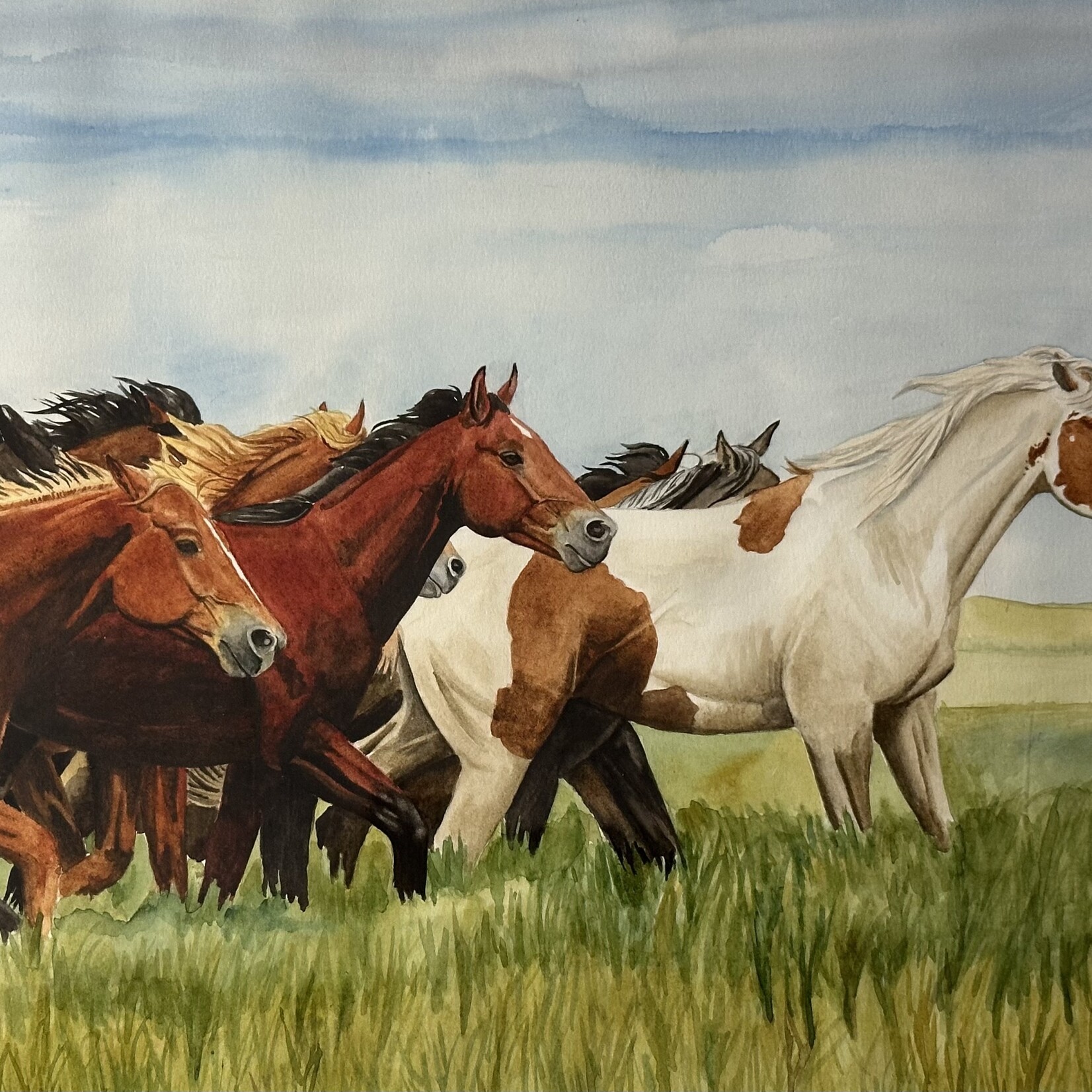 Twyla Wehnes Pole Position