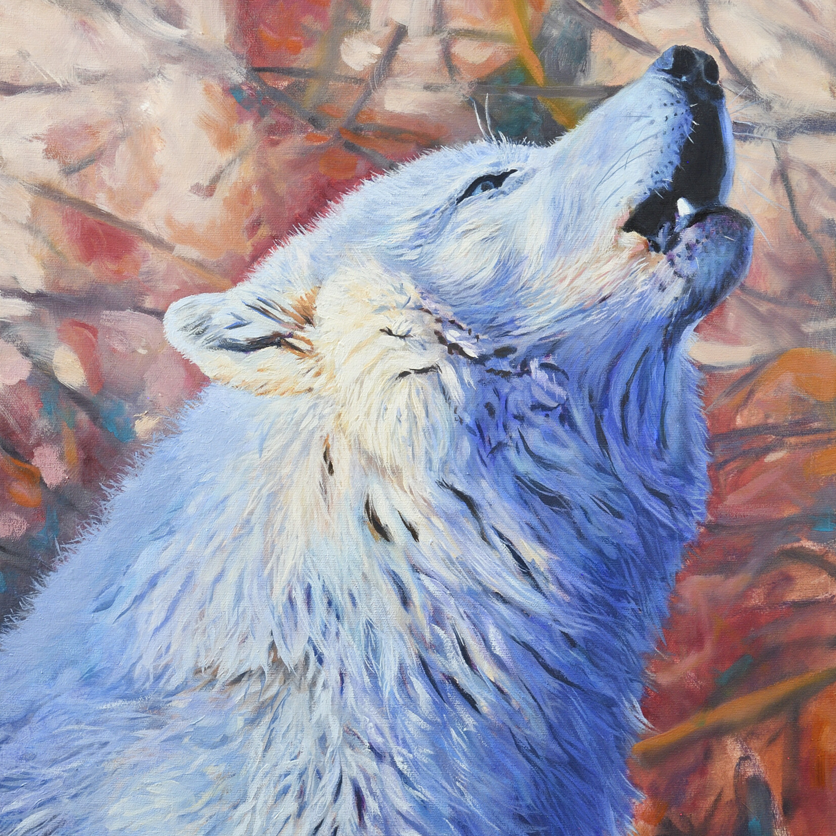 Jason Doucette Arctos