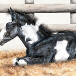 Lorna Matsuda Sweet Dreams