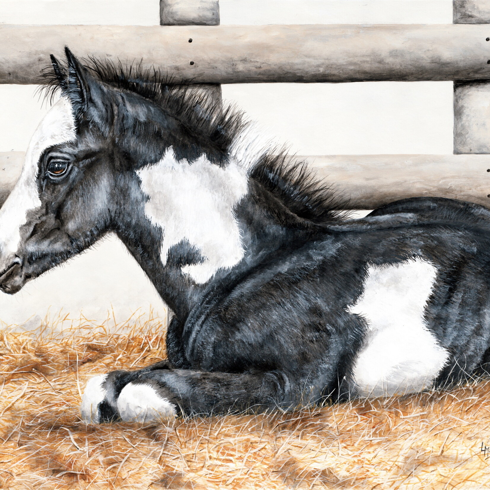 Lorna Matsuda Sweet Dreams