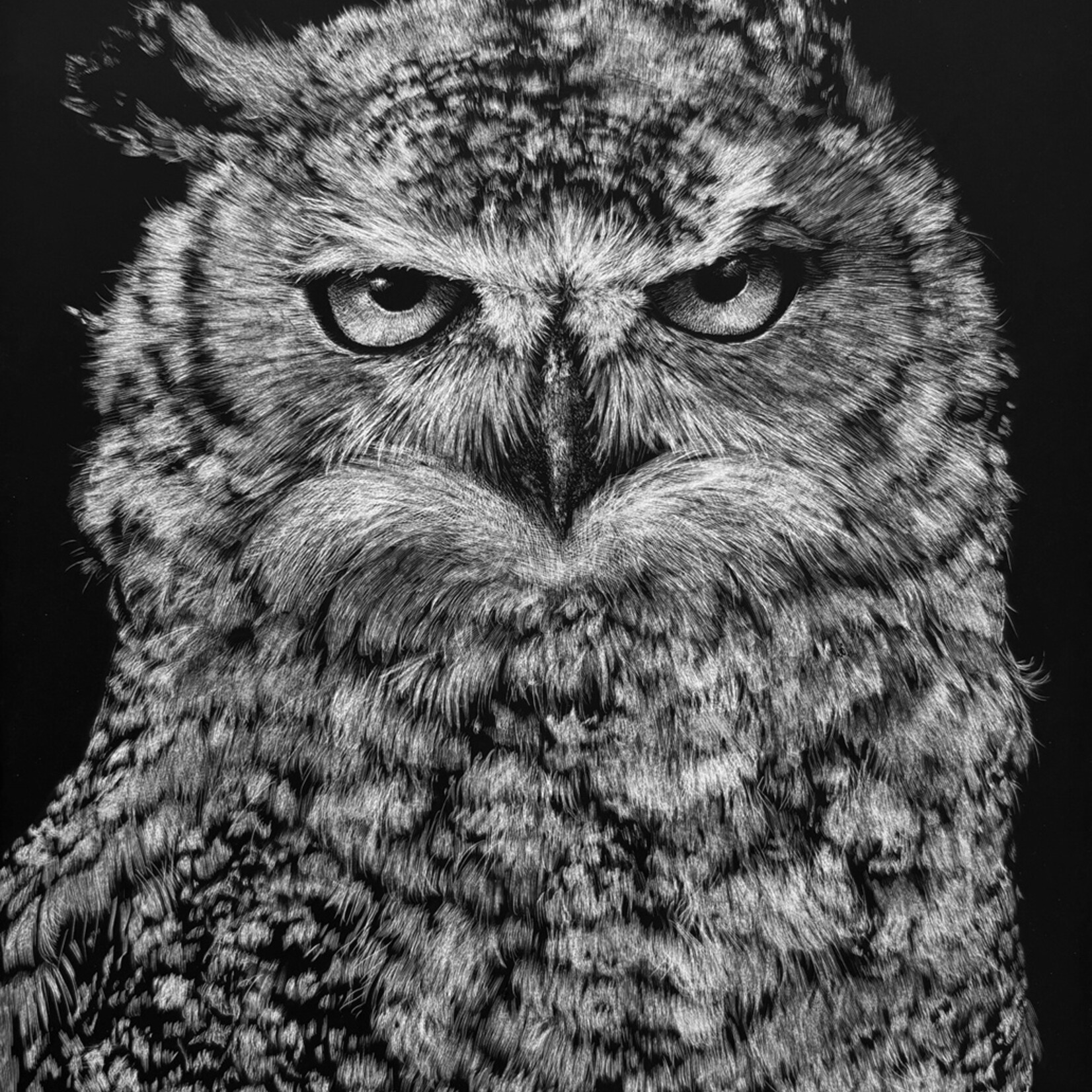 Corrine Nelson Silent Fury