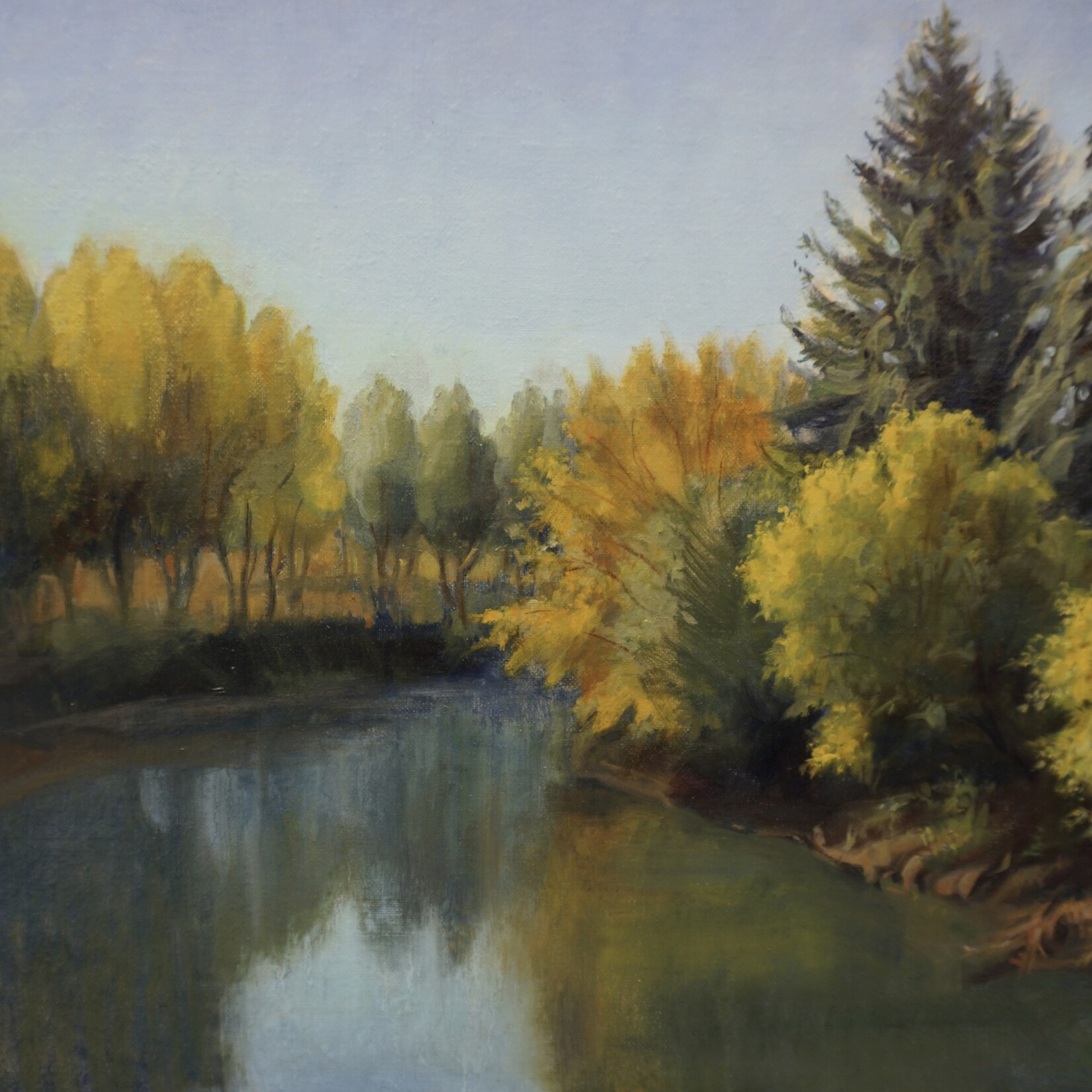 Larisa Nikonova River View