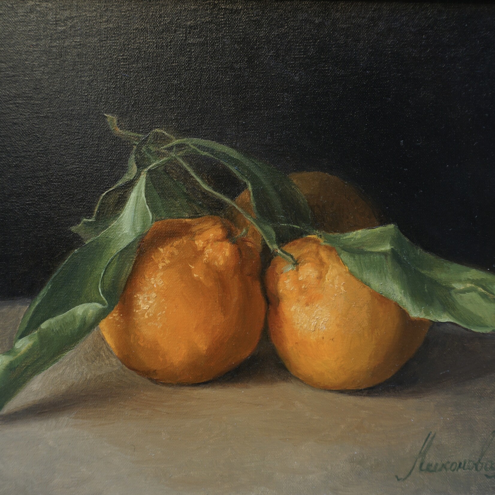 Larisa Nikonova Mandarins