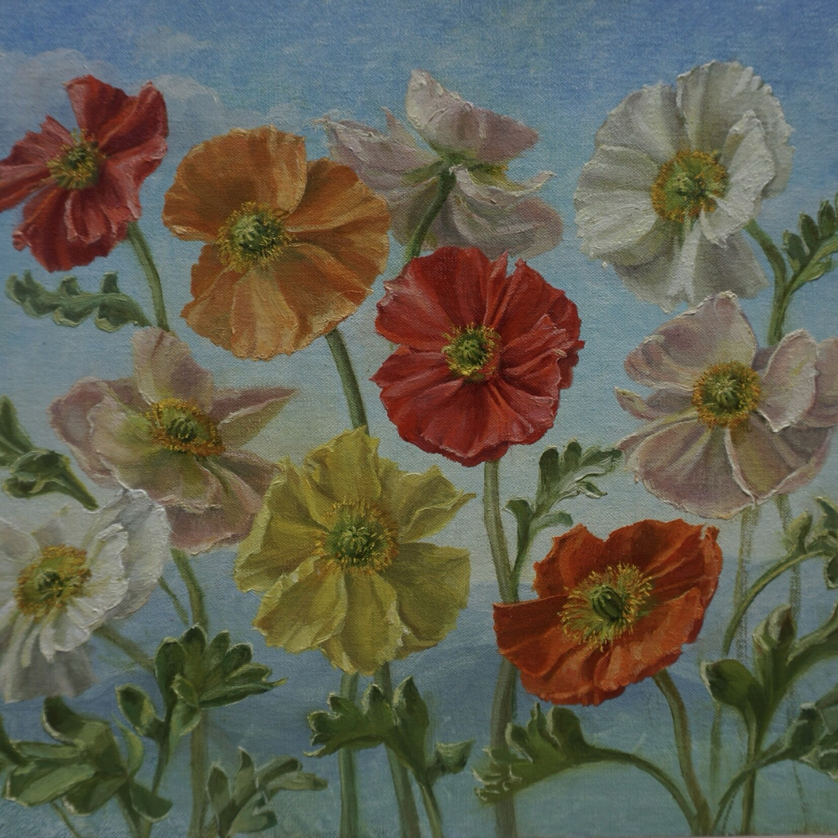 Larisa Nikonova Garden Poppies