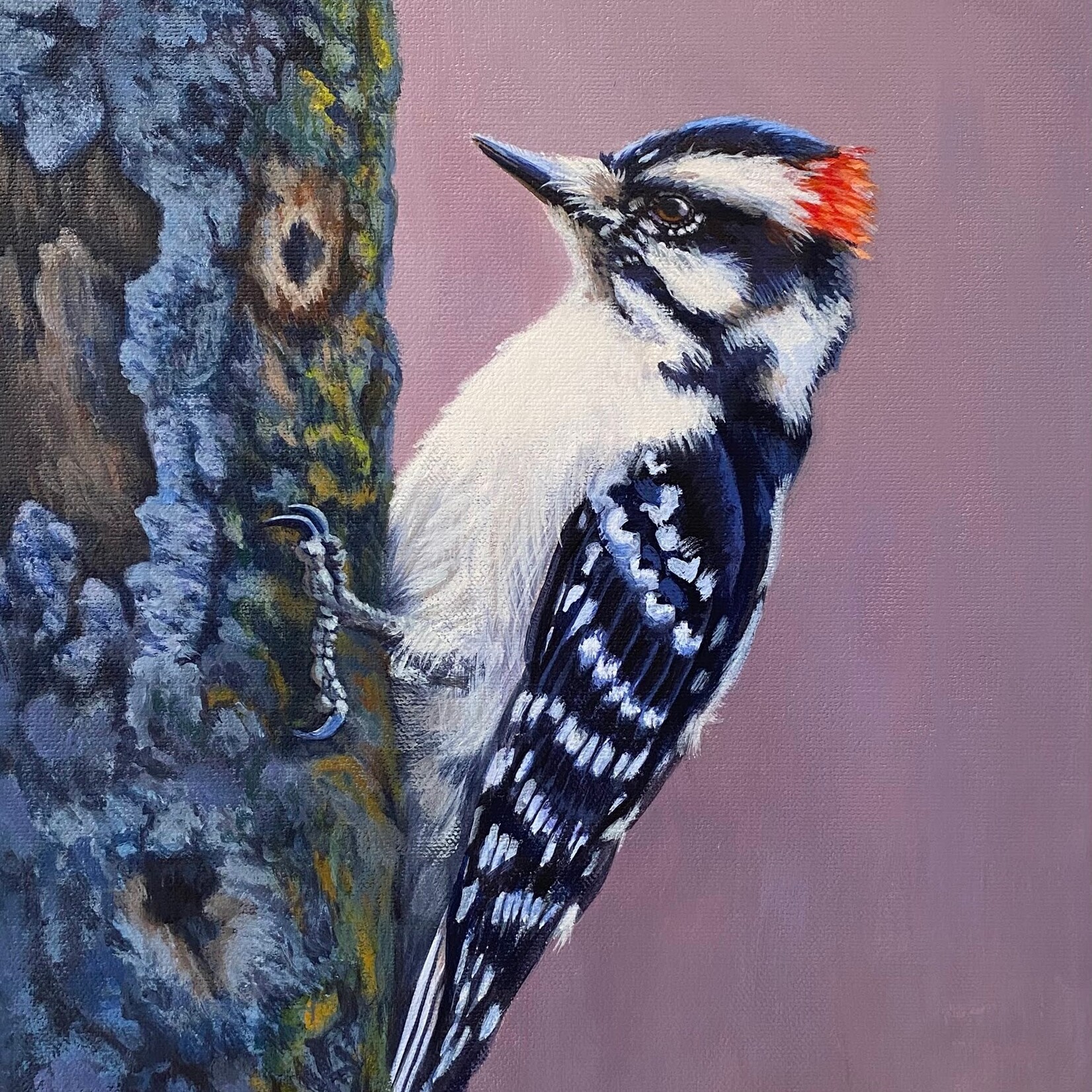 Meagan Ody Downy Woodpecker