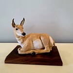Leslie Pierson Alberta Female Pronghorn Antelope