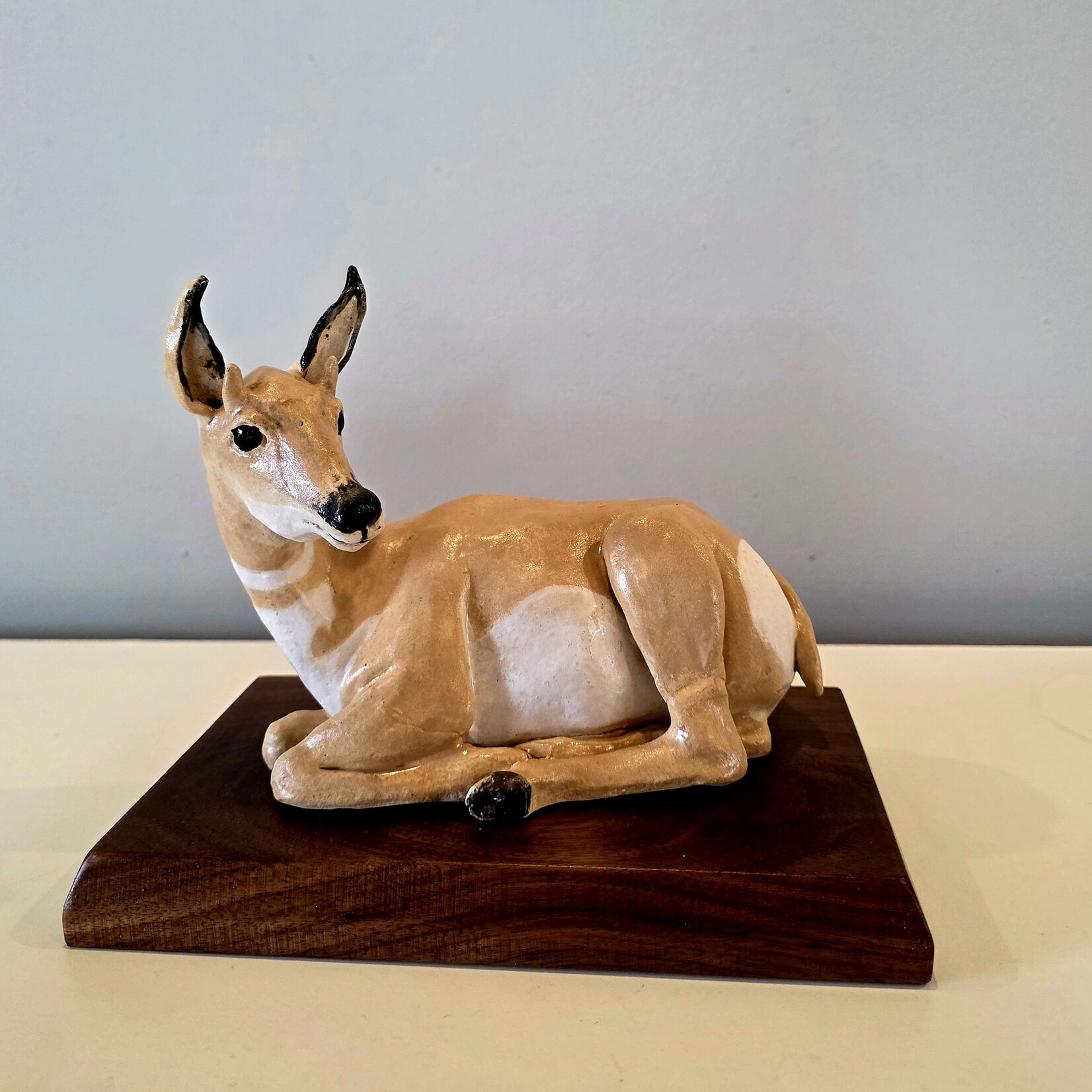 Leslie Pierson Alberta Female Pronghorn Antelope