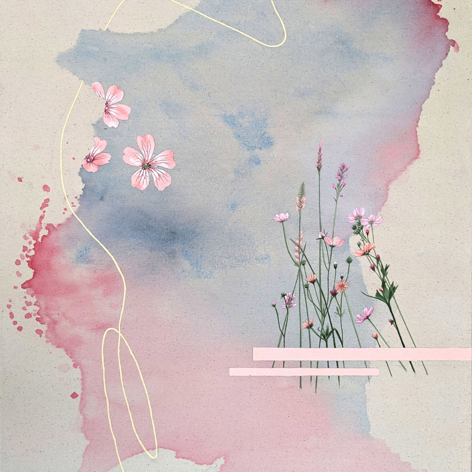 Emily Roth Flowers Of The Field