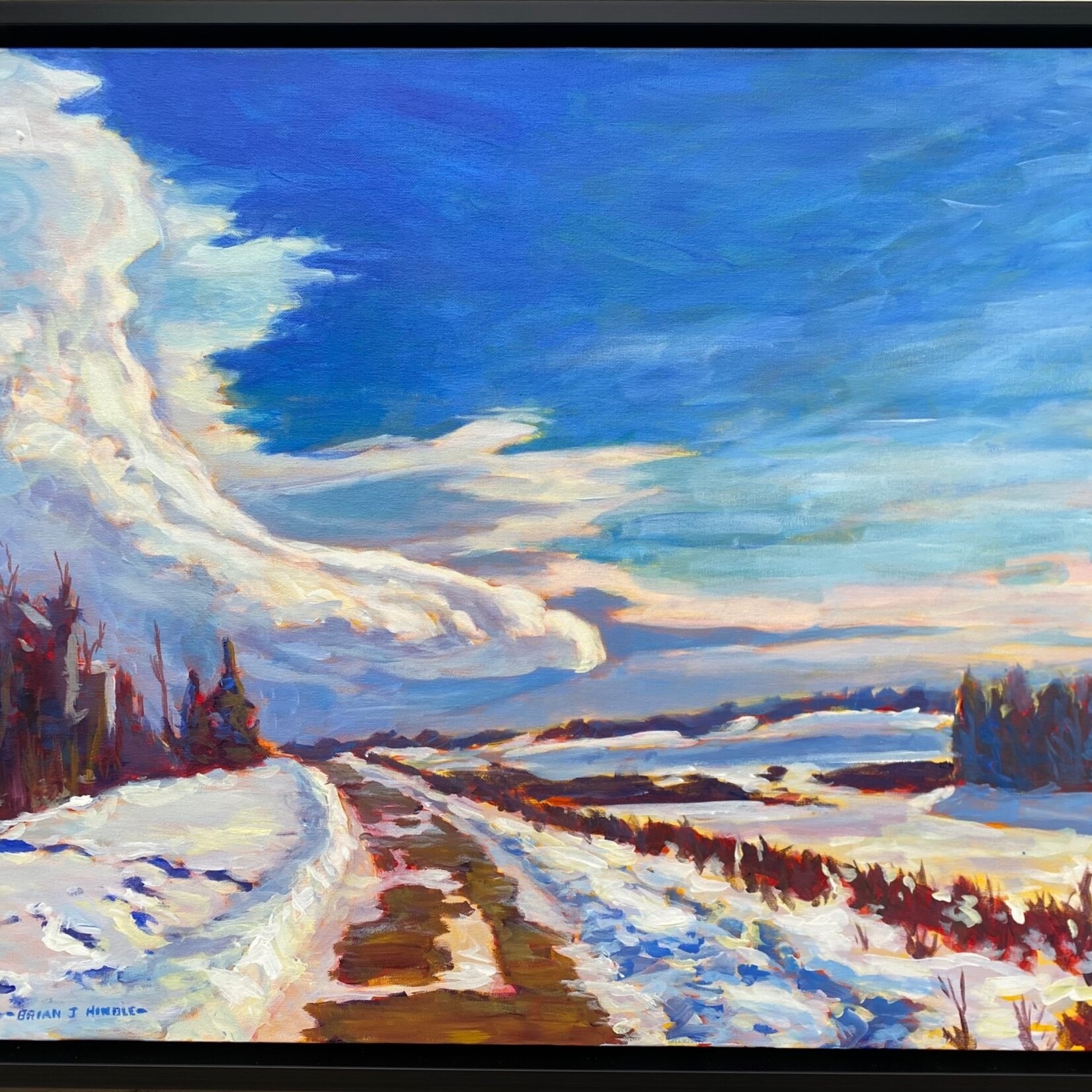Brian Hindle Chinook Sky