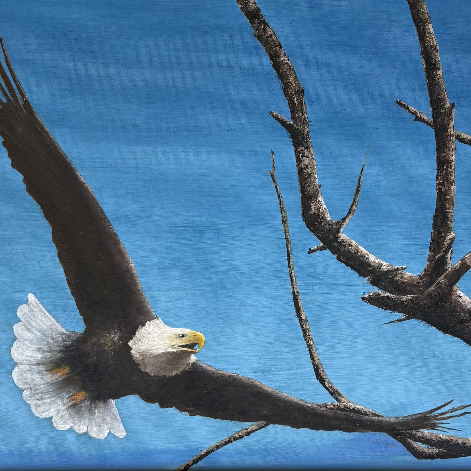 Henrik Boye Nielsen Eagle in Flight