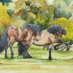 Twyla Wehnes Alberta Wildie Tango