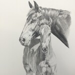 Twyla Wehnes Mother's Pride