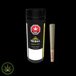 Cannara Biotech Cuban Linx, Tribal (5x0.6g) Pre rolls