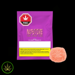 No Future Pink One (Sativa), No Future (1/pk) Soft Chews