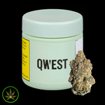 Qwest Grandi Guava, Qwest (14g) Dried Flower