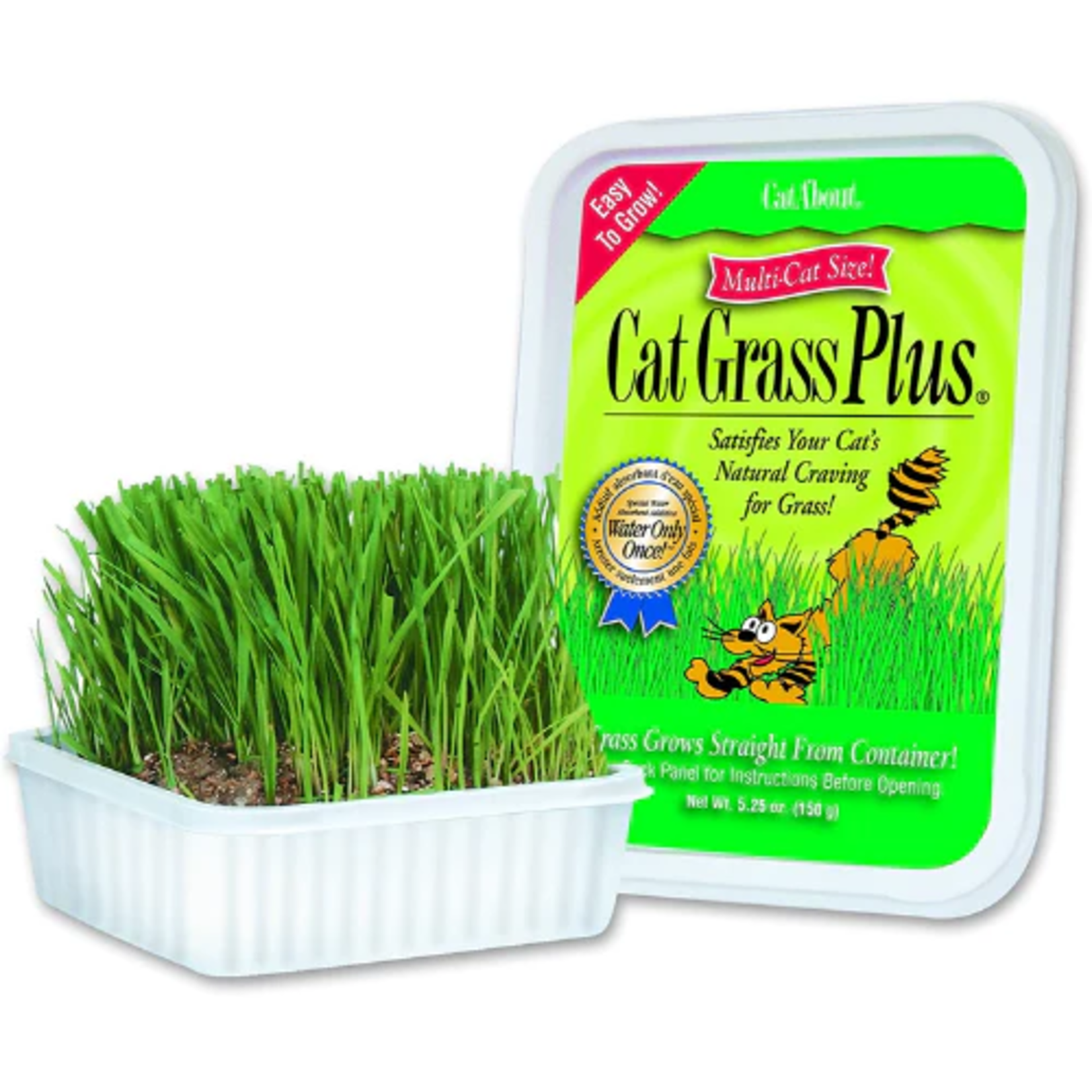 Miracle Cat Grass + tub