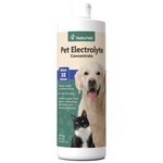 Naturvet Naturvet Dog Supplements Dog and Cat Electrolyte 16oz