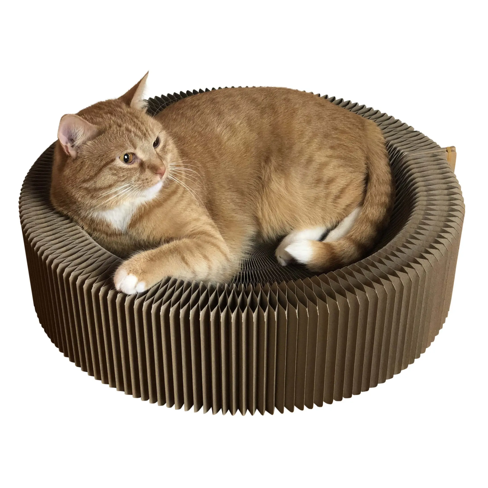 Travel Cat The Accordion Travel Cardboard Bed & Scratcher