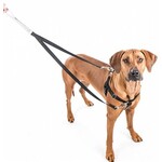 2 Hounds 2 Hounds Design Freedom No-Pull Harness Deluxe Training Package L