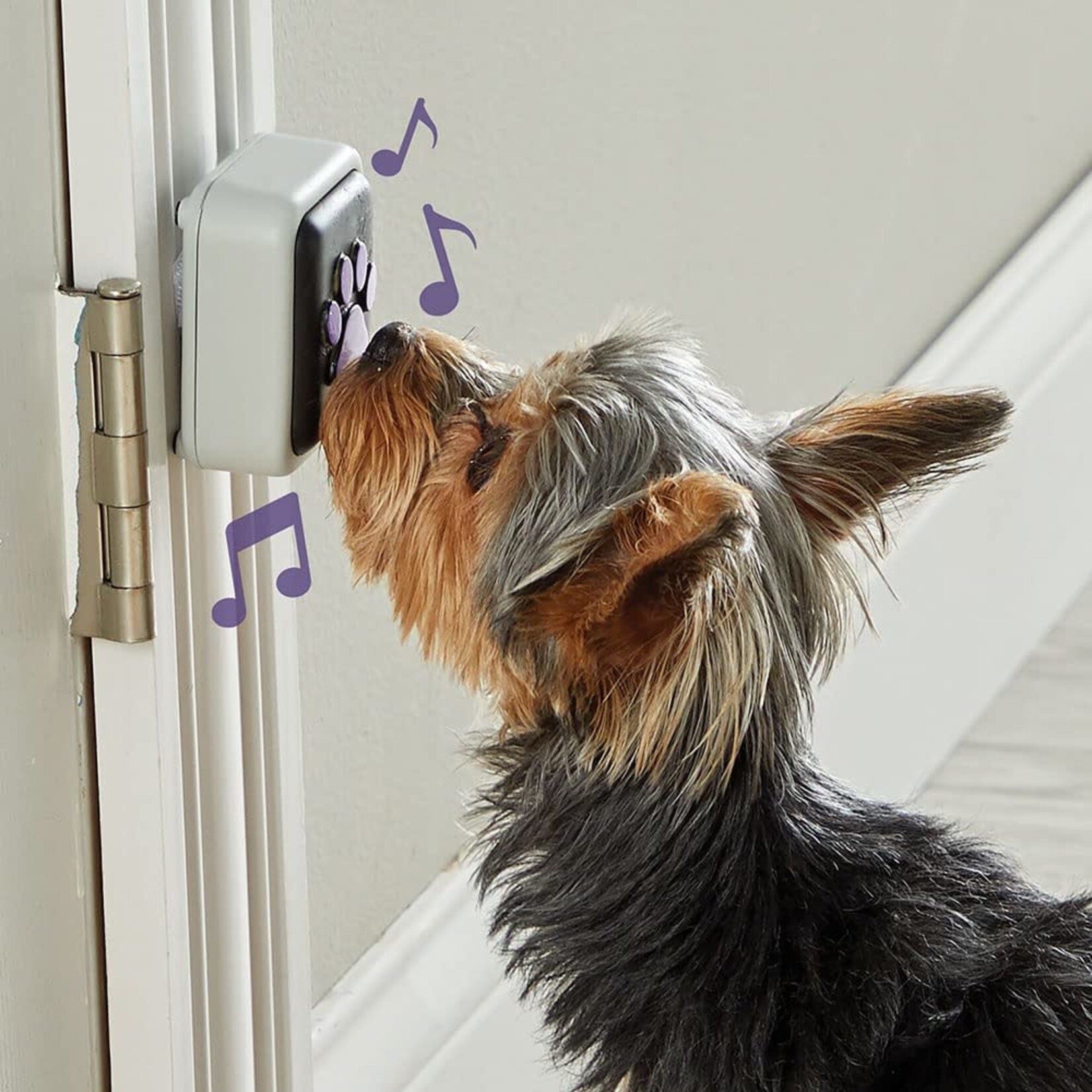 Hunger for Words Hunger For Words Talking Pet Doorbell