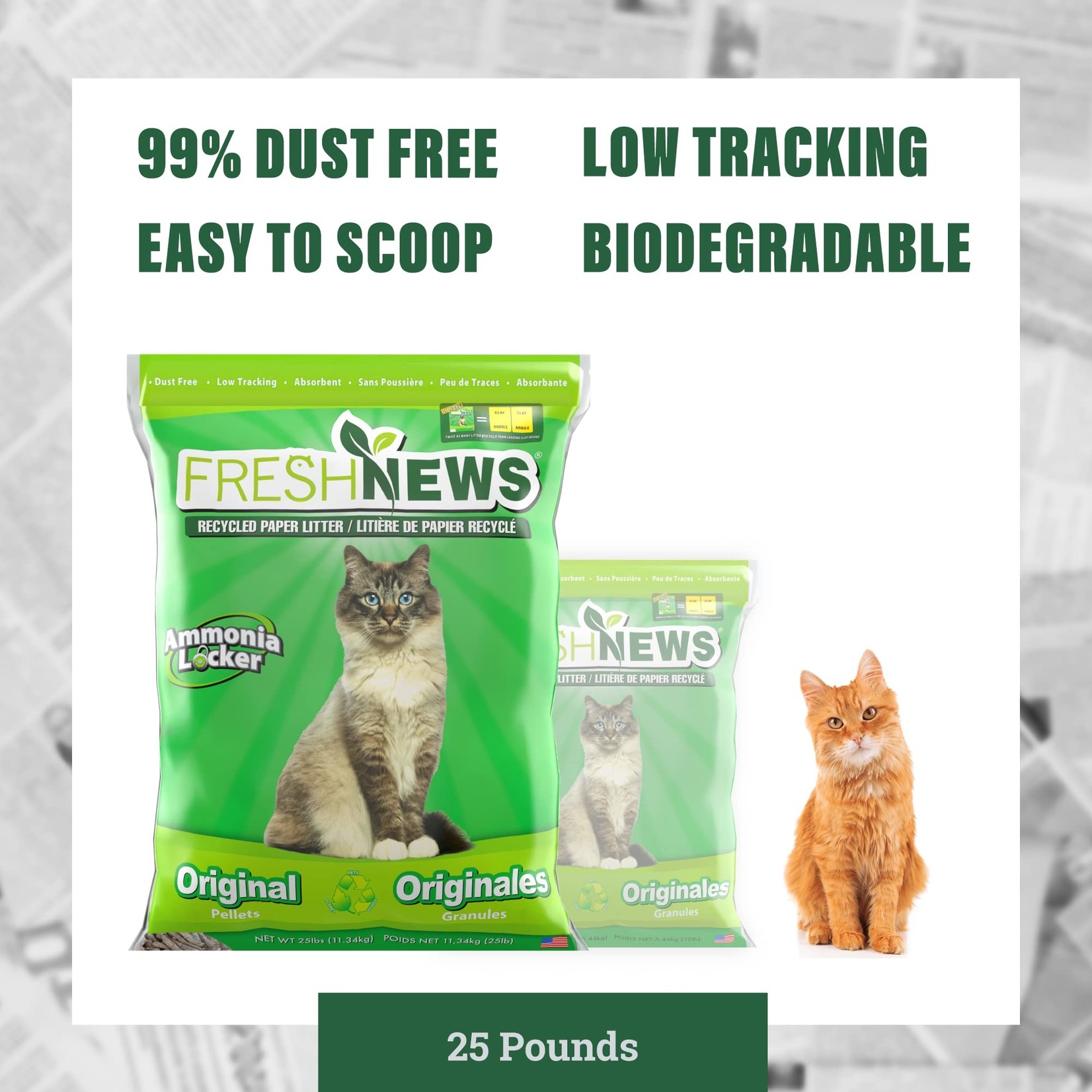 Fresh News Cat Litter