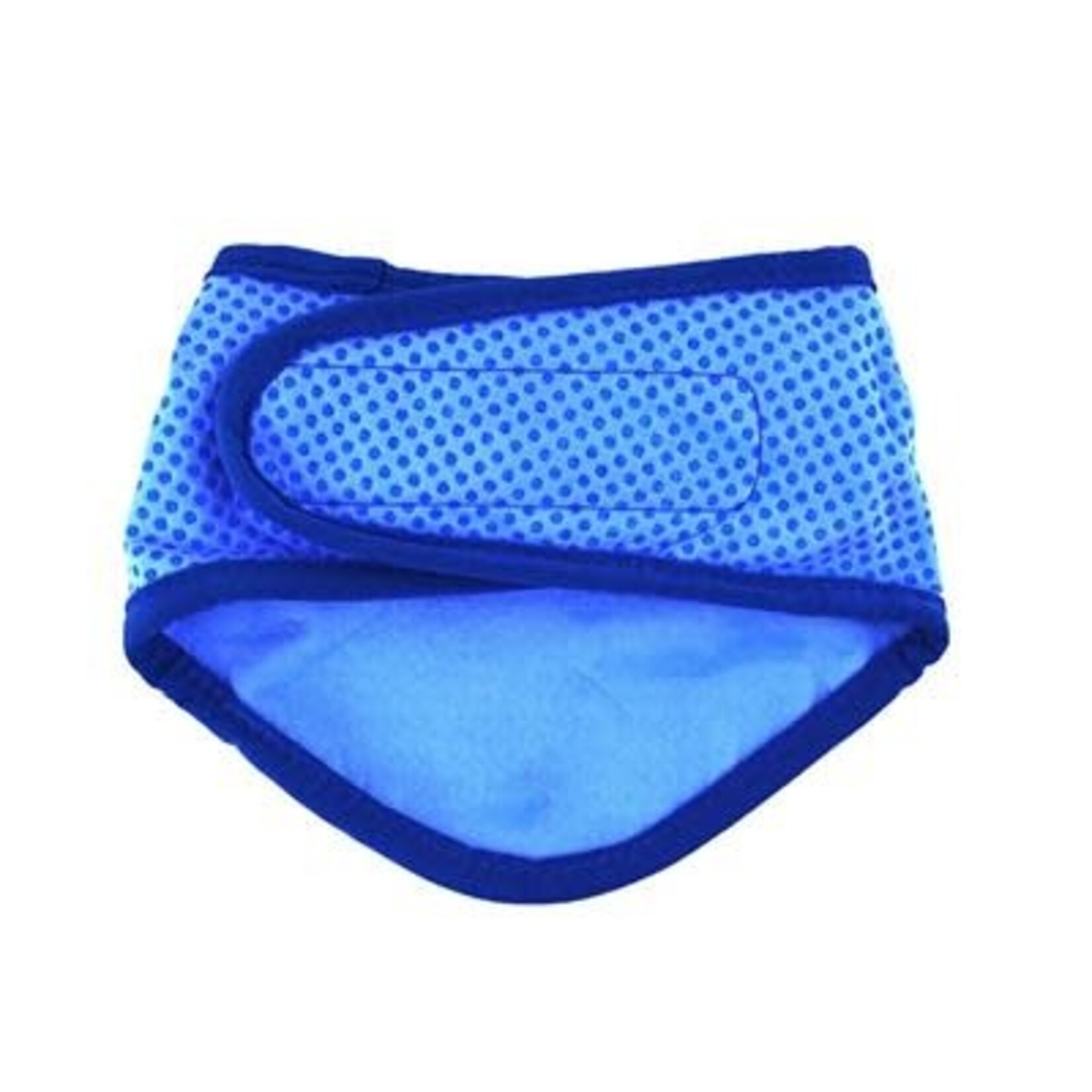 GF Pet Ice Band Cooling Bandana