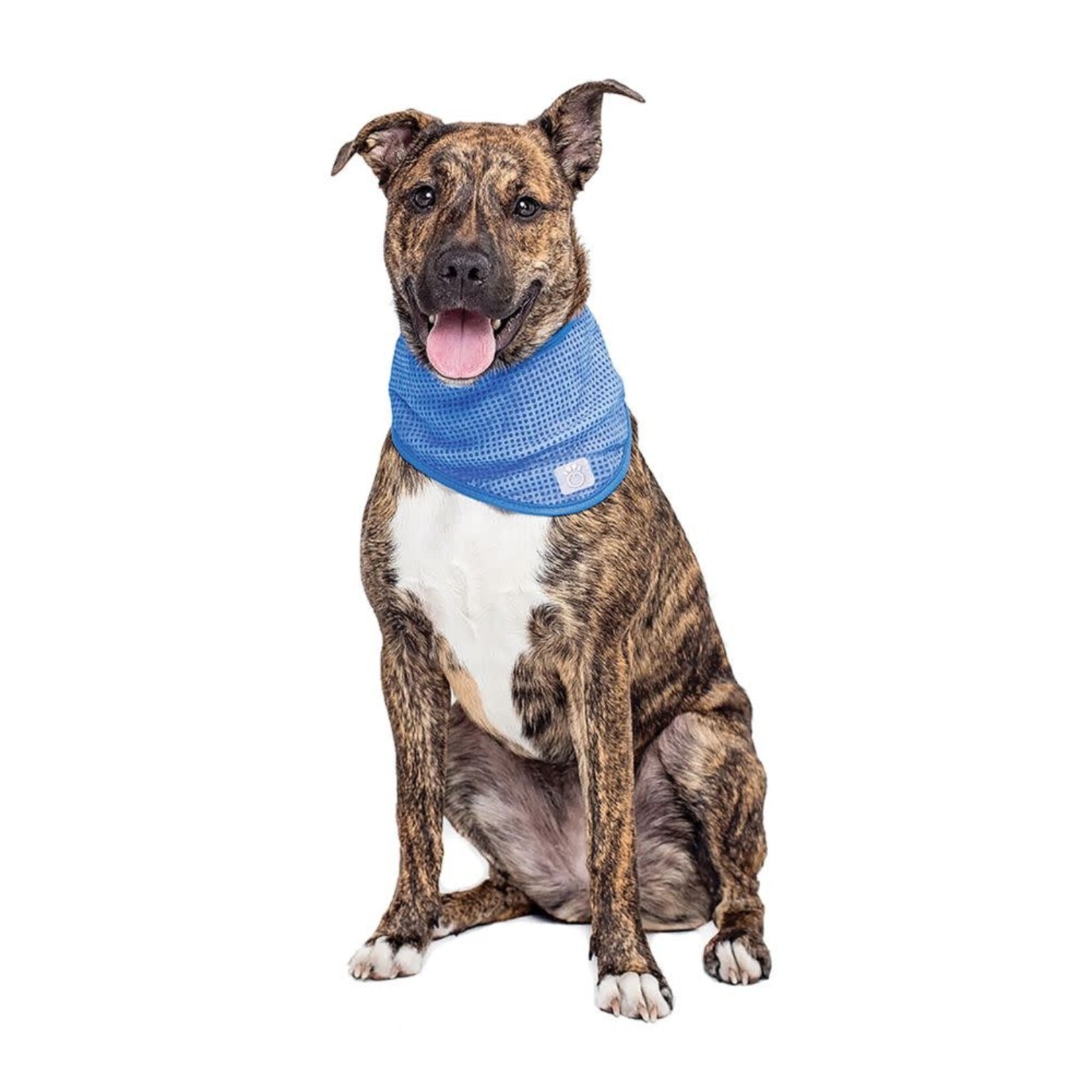 GF Pet Ice Band Cooling Bandana