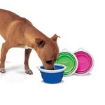 Fat Cat Silicone Travel Bowl 3 Cup