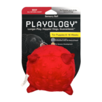 Playology Sensory Ball