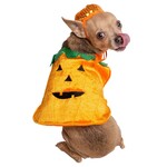 Pet Krewe Costume Pumpkin M