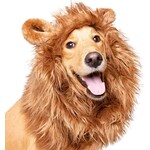 Pet Krewe Costume Lion for Dogs OS