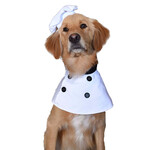 Pet Krewe Costume Chef L