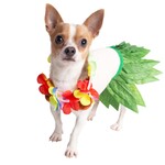 Pet Krewe Costume Hula girl S