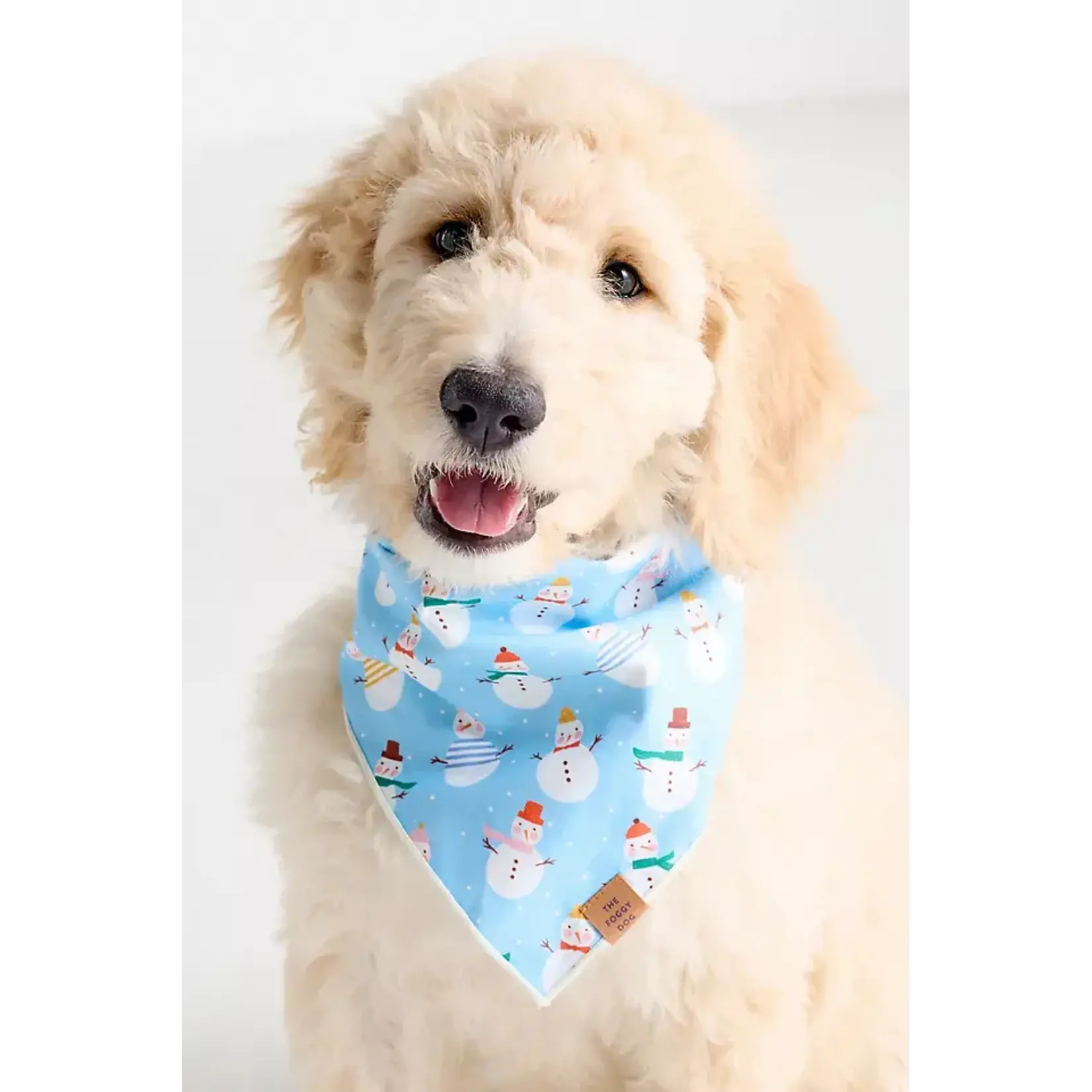 The Foggy Dog The Foggy Dog Frosty Friends Bandana SM