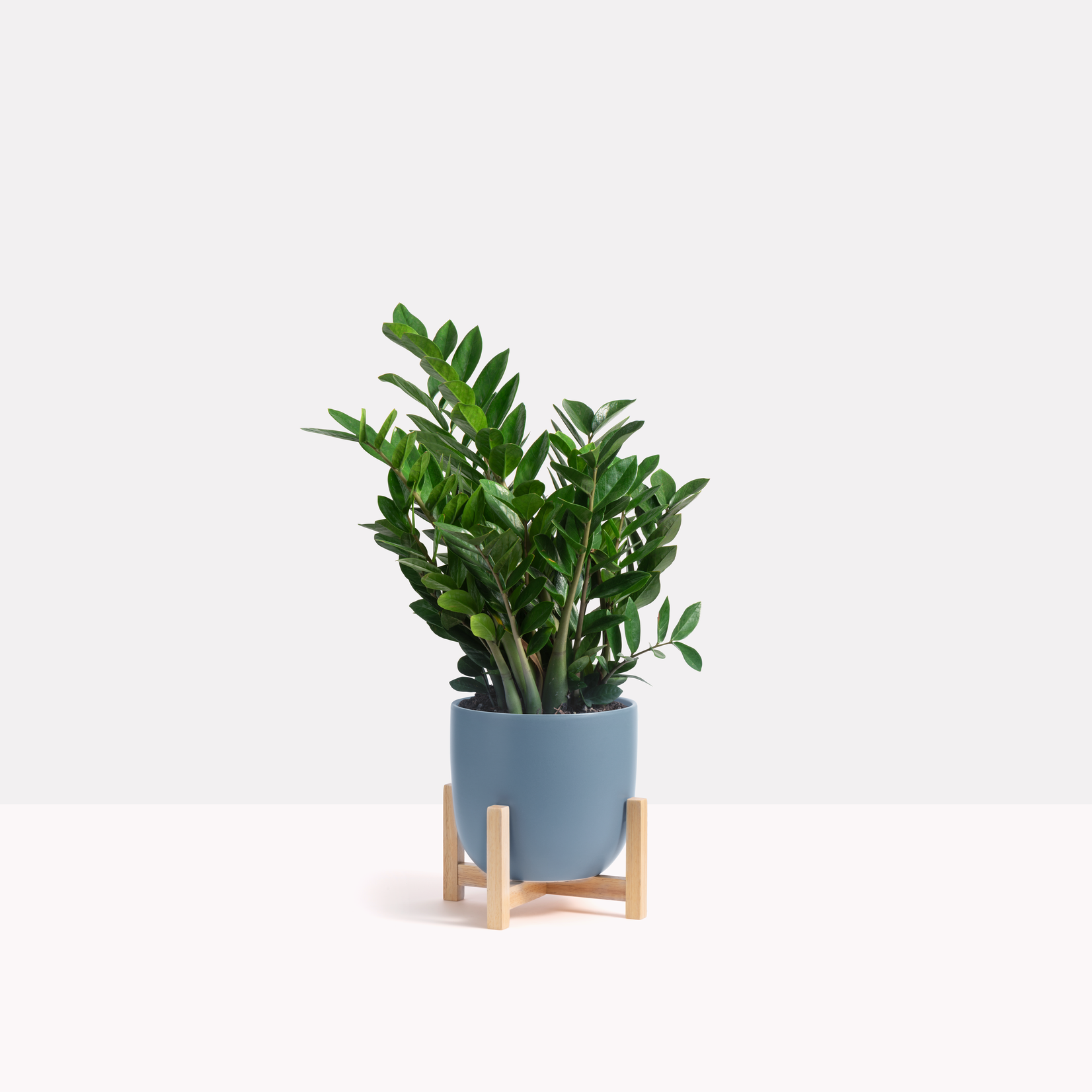 Contour Ceramic Planter + Wood Stand - Blue Indigo 10"