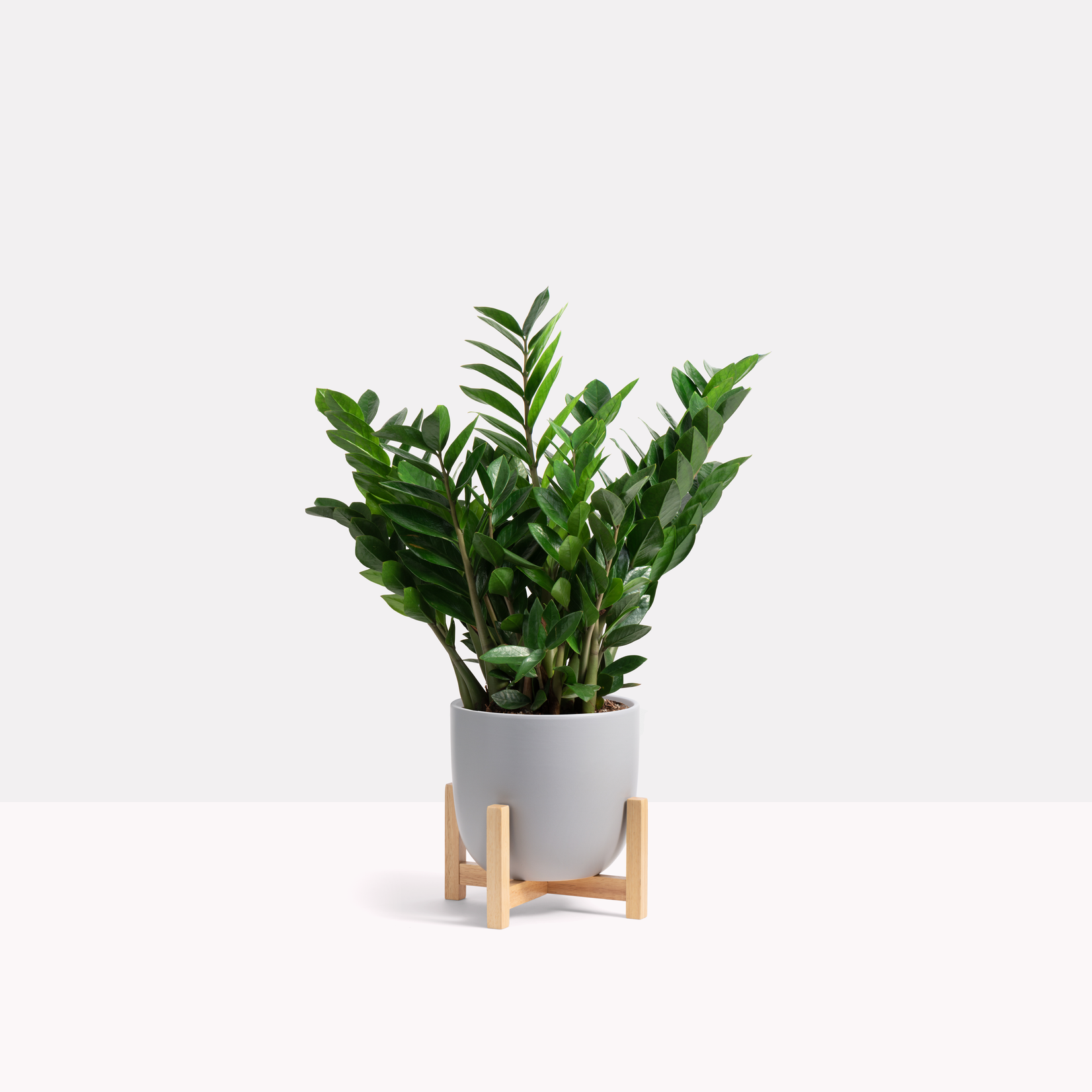 Contour Ceramic Planter + Wood Stand - Grey 7"