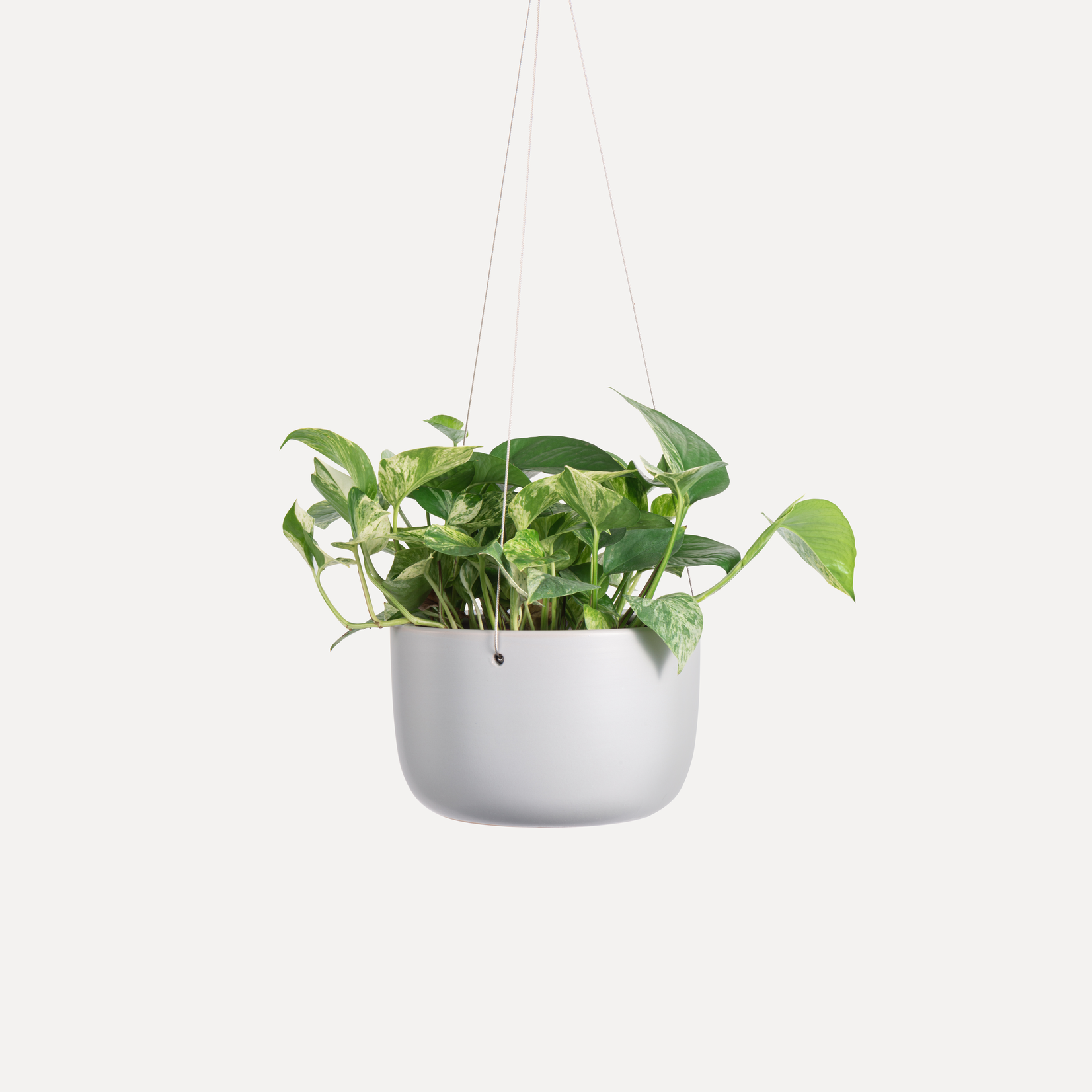 Ceramic Hanging Planter Grey 6"